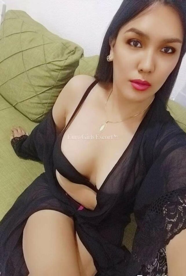 KAMYA 24