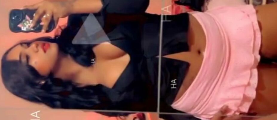 Nivi